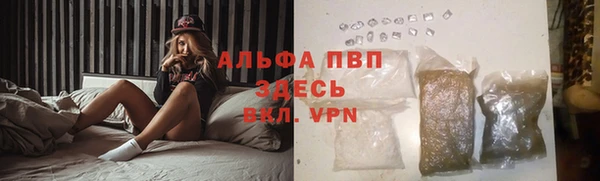 молекула духа Волоколамск