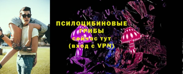 молекула духа Волоколамск