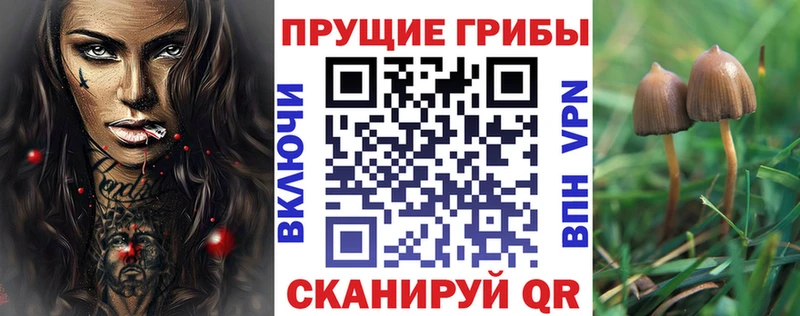 Псилоцибиновые грибы Psilocybine cubensis  маркетплейс формула  Пестово  где купить наркоту 